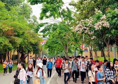 【官宣】南宁职业技术学院2019年单独招生简章