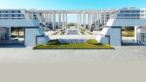 两所职业技术学院发展特色与区域服务功能比较