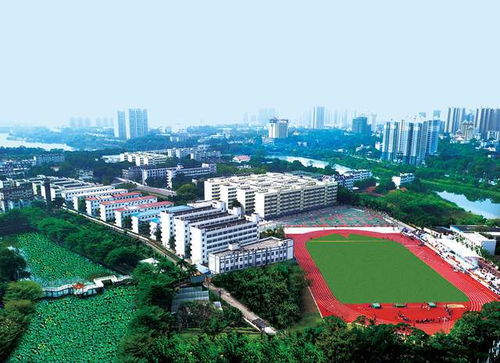 广西高等教育布局优化再添新篇章 四所院校成功转设，广西农业职业学院与南宁职业技术学院升格本科