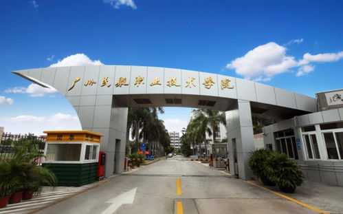 广东3所性价比超高的非211大学 分数不高却就业强劲，内含民航局直属大专