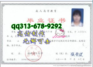广西高职院校毕业证的价值与差异分析